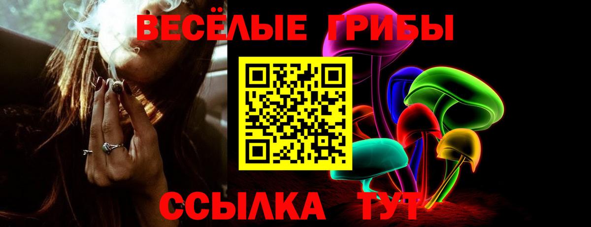 Псилоцибиновые грибы GOLDEN TEACHER  Галлюциногенные грибы MAGIC MUSHROOMS  Вход с VPN  купить наркотики цена  Валуйки 